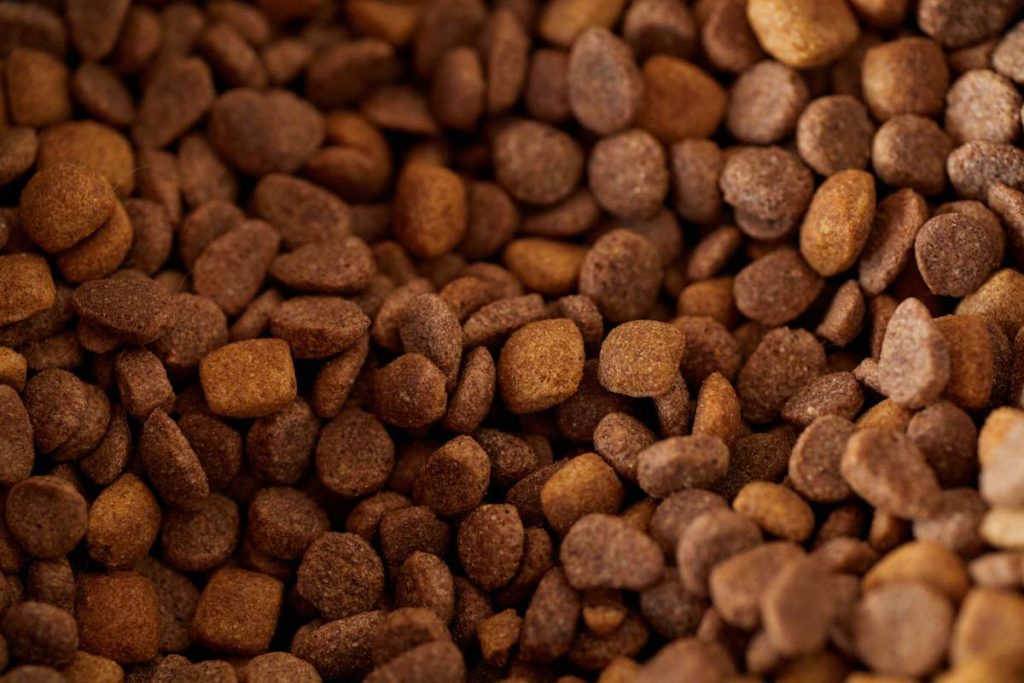 Complex Carbohydrates: 7 Proven Tips to Avoid Costly Energy Mistakes in Hunting Dog Food